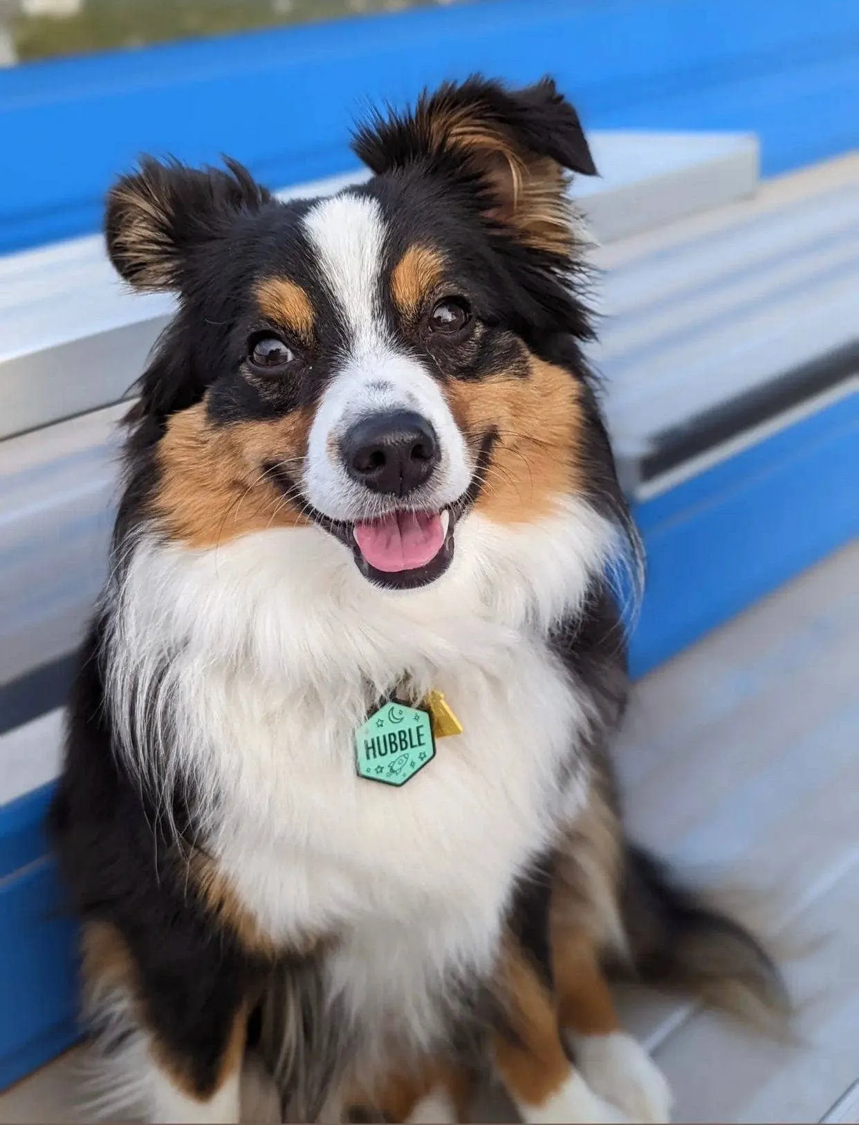 Besties Pets - Space Cadet Silicone Dog ID Tag: Chartreuse