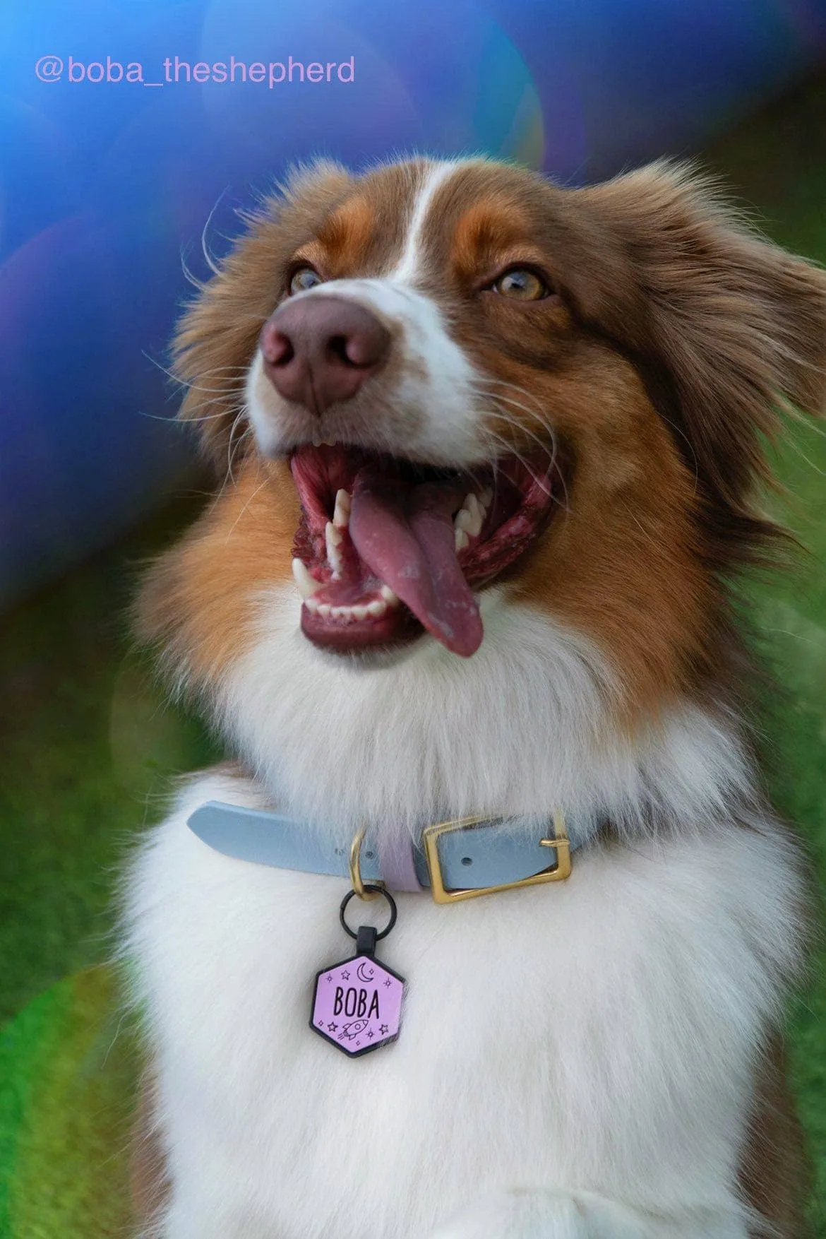 Besties Pets - Space Cadet Silicone Dog ID Tag: Chartreuse