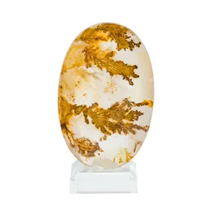 Dendritic Quartz 49.25mm 115.34 Carat Polished Crystal Cabochon