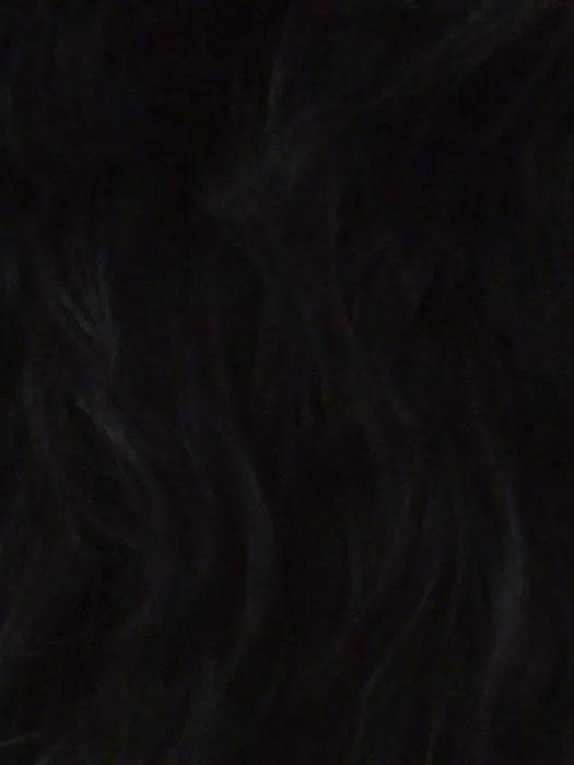 H-311 by Vivica Fox | Capless Human Hair Wig | CLOSEOUT