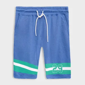 Printed Blue Two Quarter Shorts For Men's