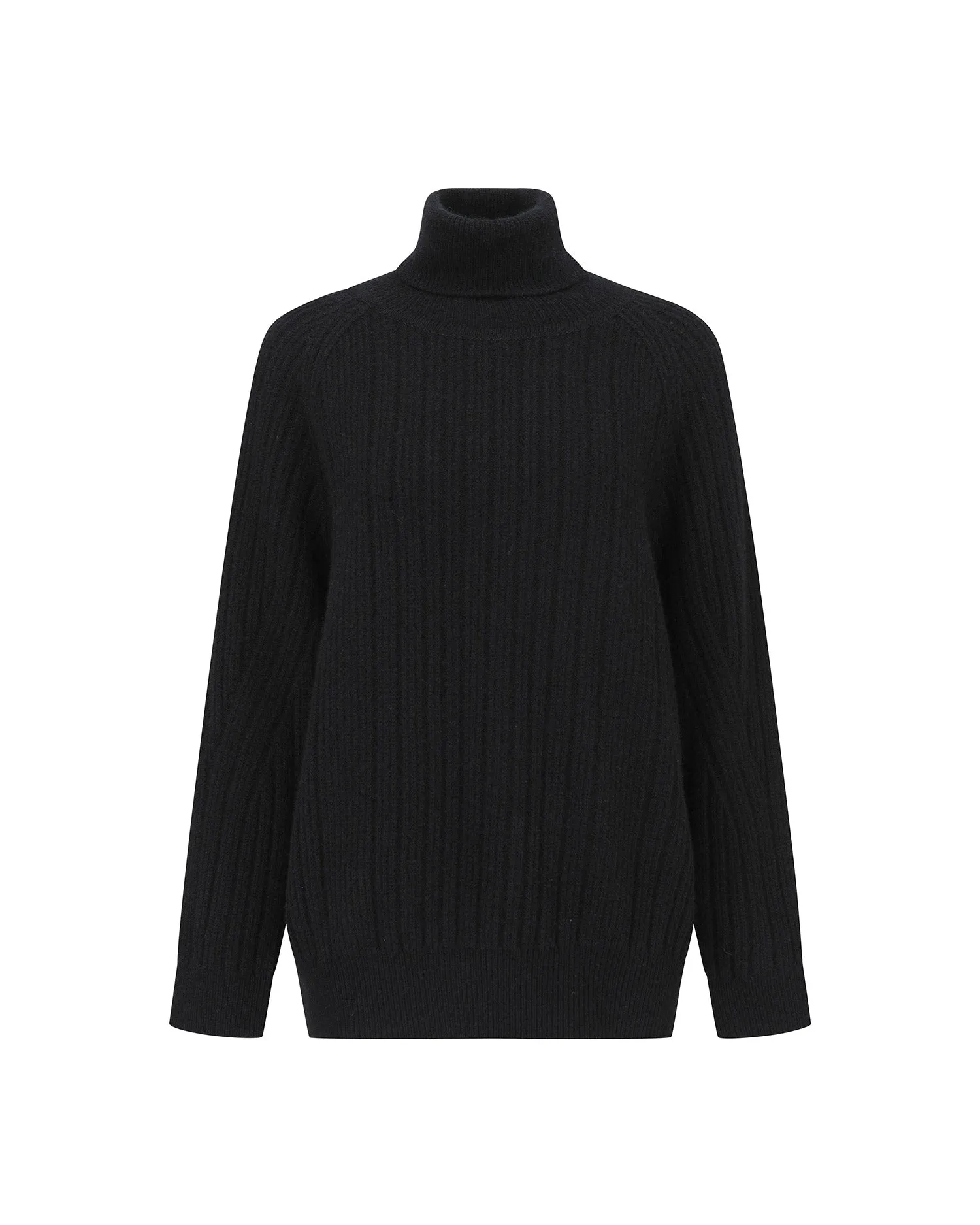 Ribbed Turtleneck