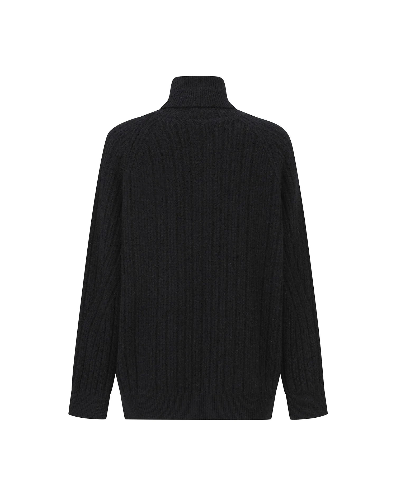 Ribbed Turtleneck