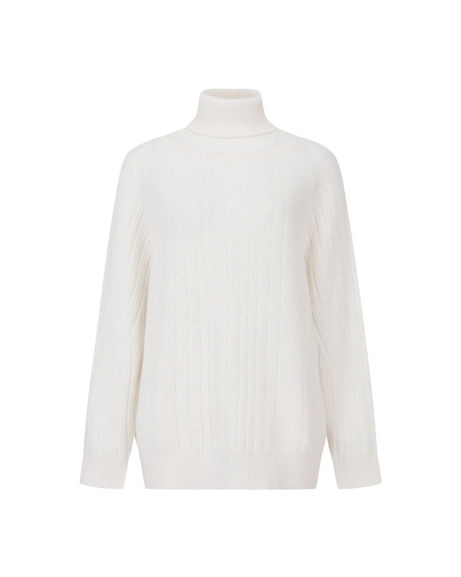 Ribbed Turtleneck