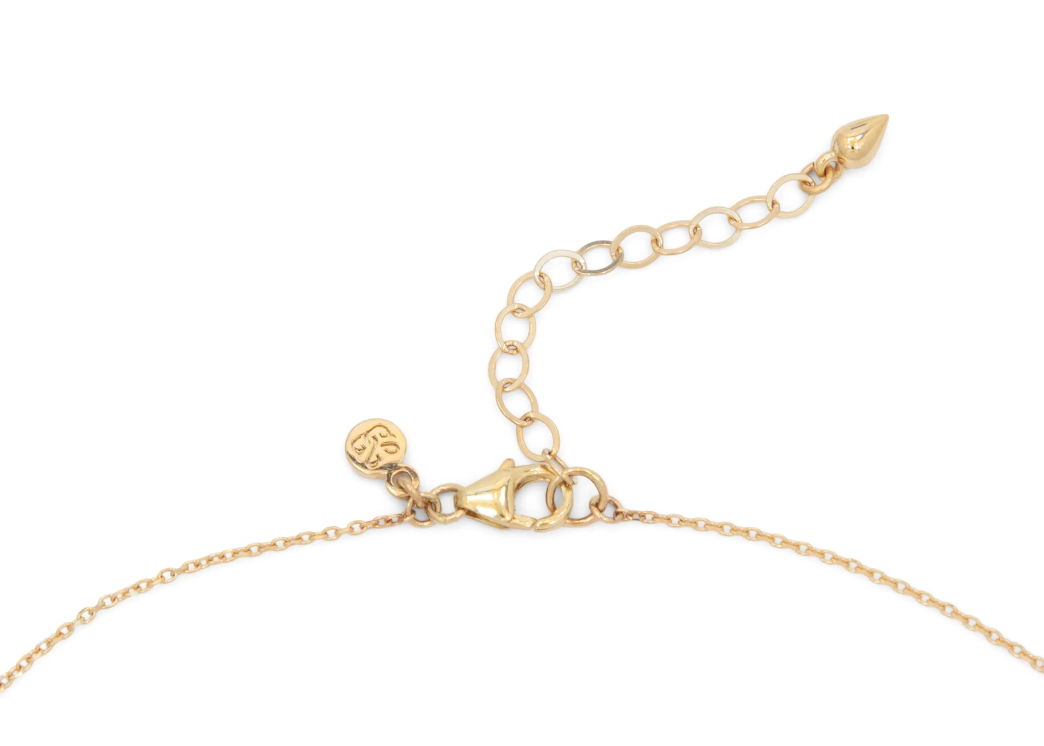 Tusk Shell Necklace