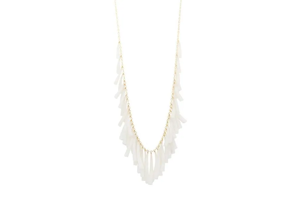 Tusk Shell Necklace