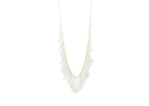 Tusk Shell Necklace